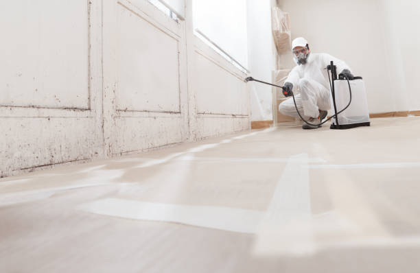 24/7 Emergency Mold Removal experts in Forest Lake, IL